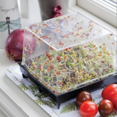 Sproutly: EKO Rädisfrön 'Chinarose' 160g - Fröer