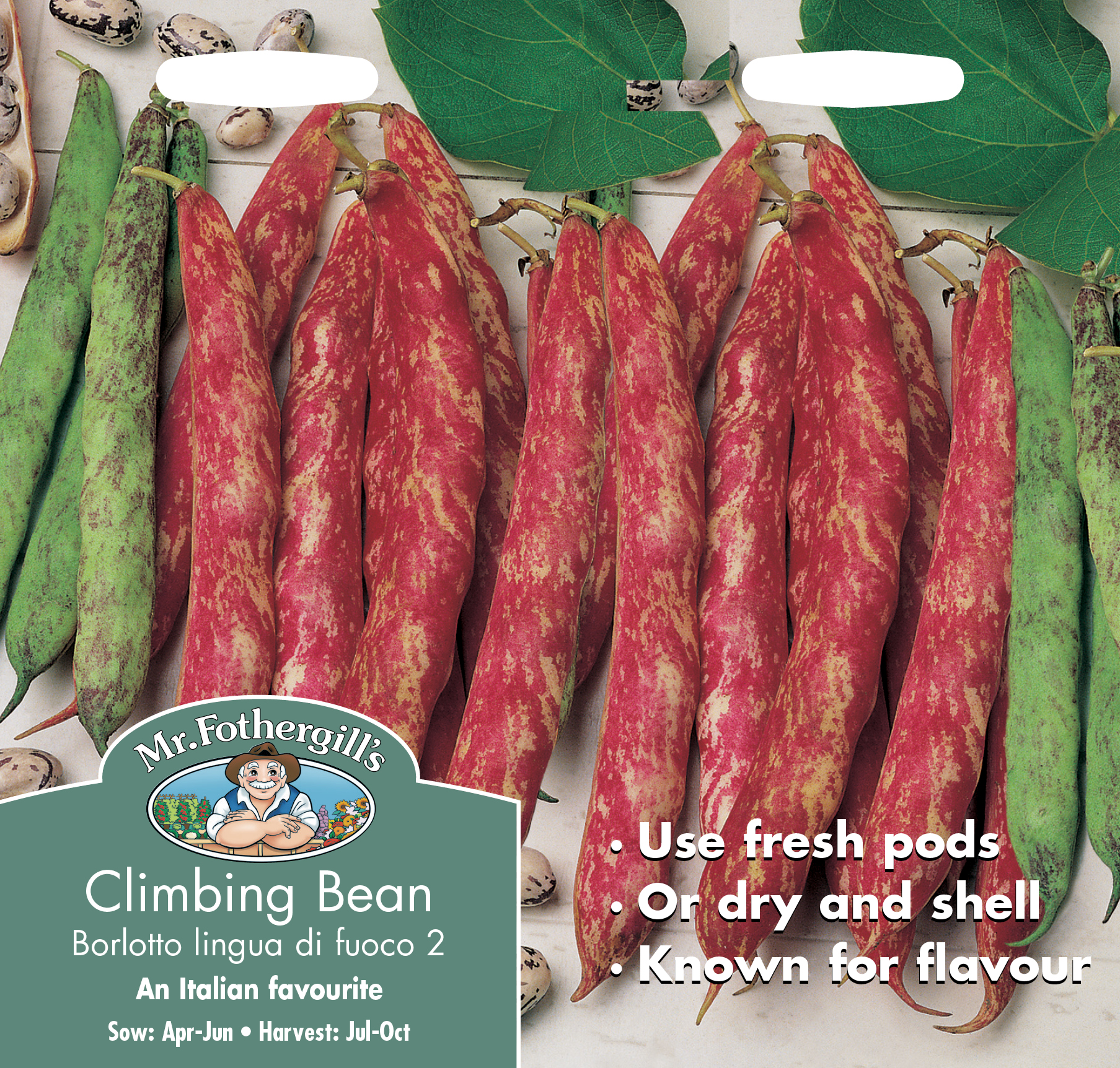 Klätterböna 'Borlotto lingua' - Fröer