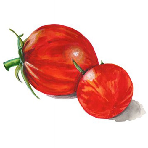 Körsbärstomat 'Pink Bumblebee' Svenskodlat frö - Fröer