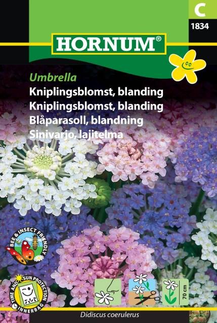 Blåparasoll 'Umbrella' Mix - Fröer