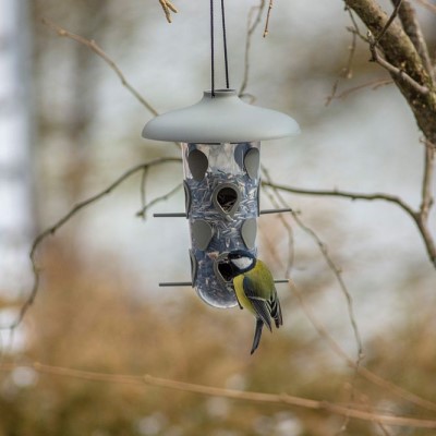 Foderautomat 'Robin' Anthracite - Fröer