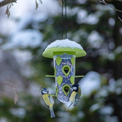 Foderautomat 'Robin' Green - Fröer