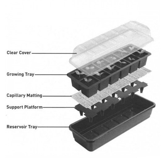 Miniväxthus 'Self Watering' 12 celler - Fröer