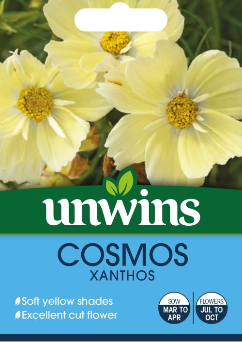 Rosenskära 'Xanthos' - Fröer