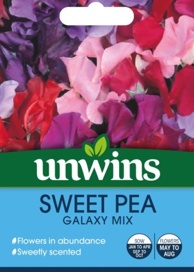 Luktärt 'Galaxy' Mix - Fröer