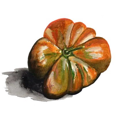 Bifftomat 'Uluru Ochre' Svenskodlat frö - Fröer