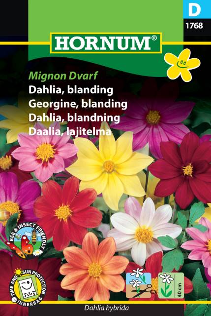 Sommardahlia Mix 'Mignon Dwarf' frö - Fröer