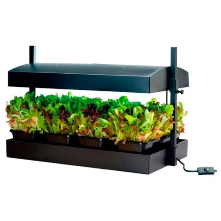 Växtbelysning 'Grow Light Garden' LED Black - Fröer