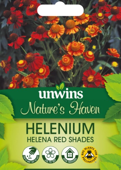 Trädgårdssolbrud 'Red Shades' - Fröer