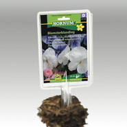 PRIMA Etiketthållare 5-pack - Fröer