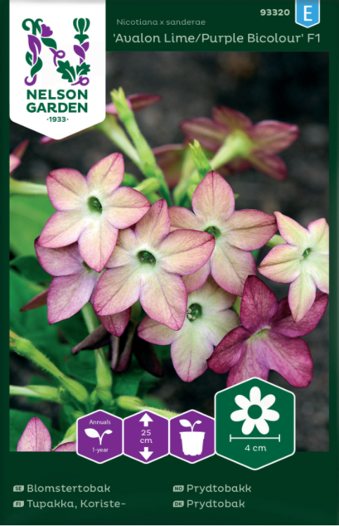 Blomstertobak 'Avalon Lime/Purple' F1 frö - Fröer