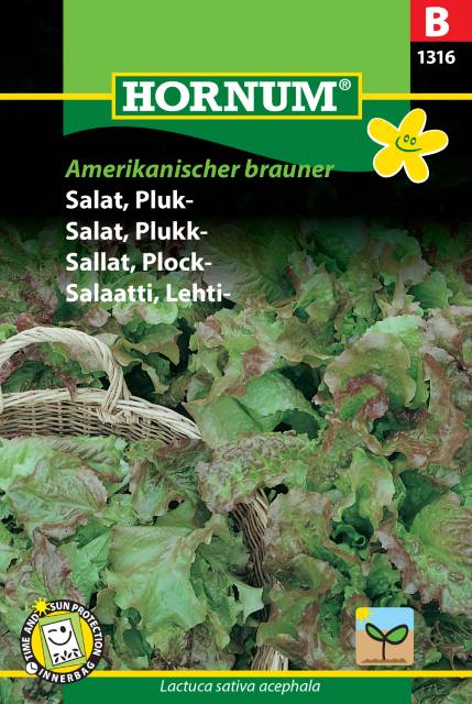 Plocksallat 'Amerikanischer brauner' frö - Fröer