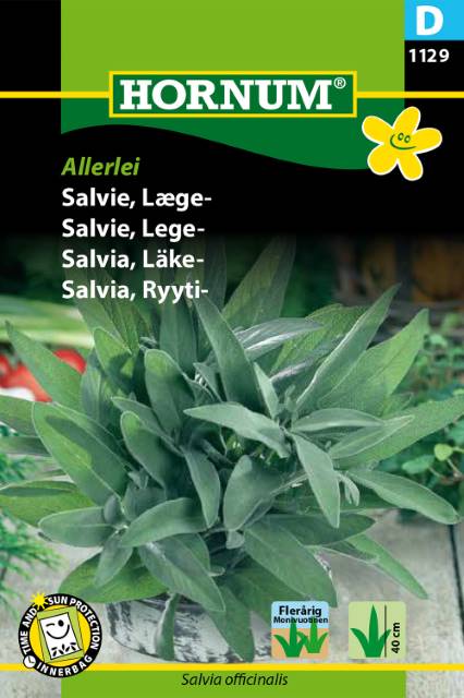 Kryddsalvia 'Allerlei' frö - Fröer