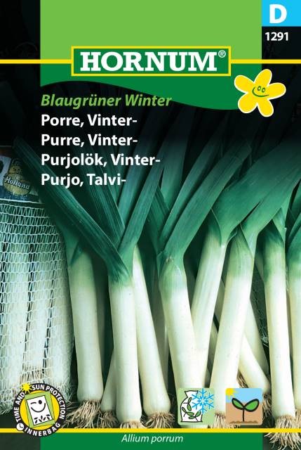 Purjolök, Vinter 'Blaugrüner Winter' - Fröer