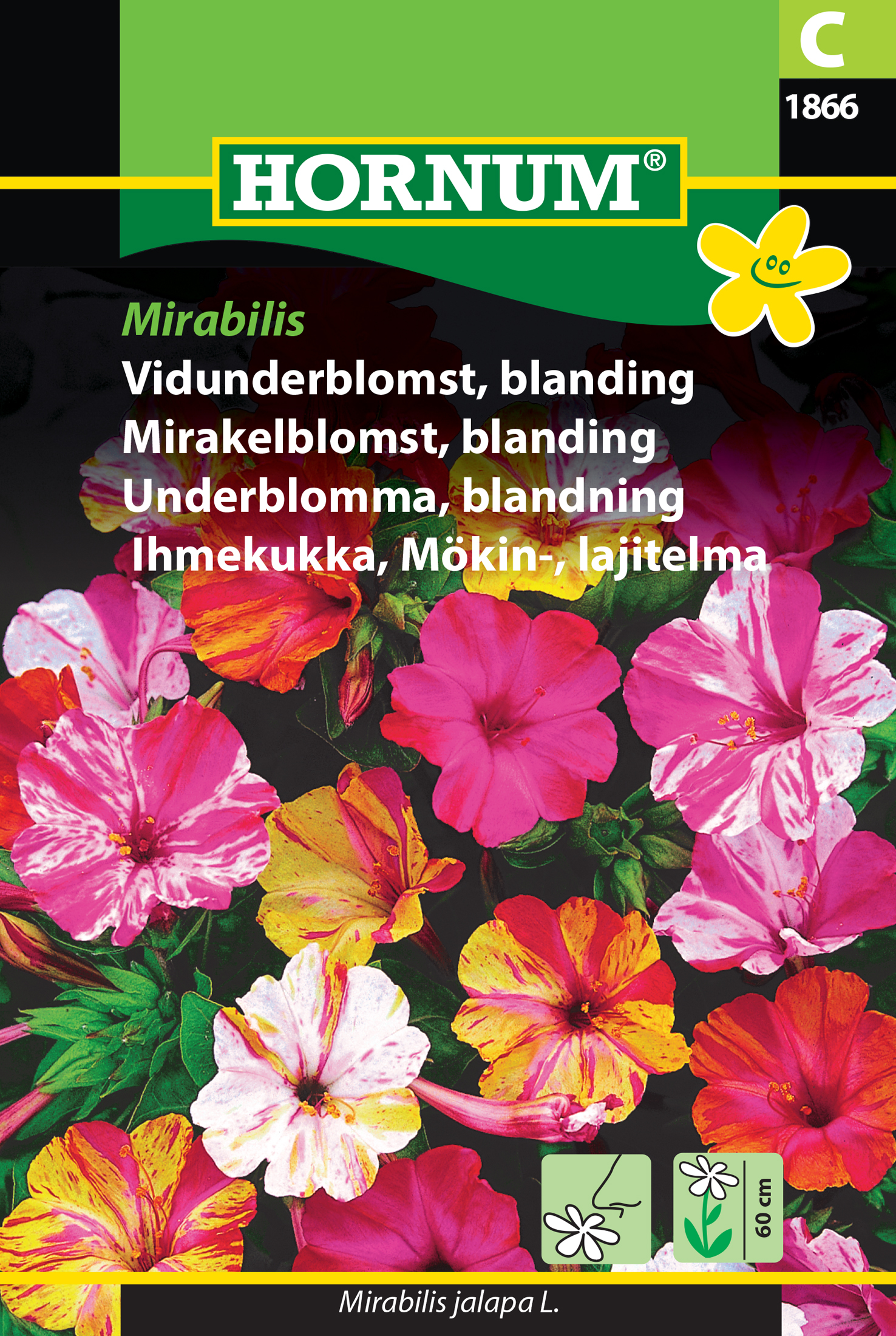 Underblomma Mix 'Mirabilis' frö - Fröer