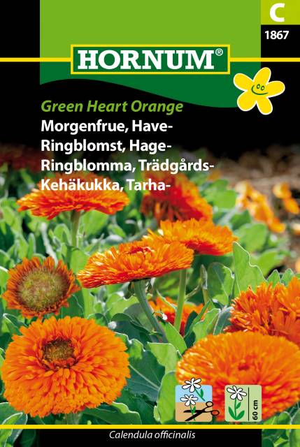 Ringblomma 'Green Heart Orange' frö - Fröer
