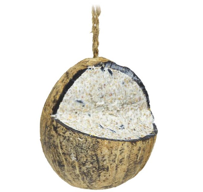 Fylld Kokosnöt - 350g - Fröer