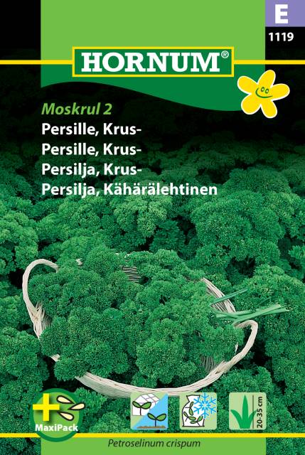 Krusbladig Persilja 'Moskrul 2' - Maxipack - Fröer