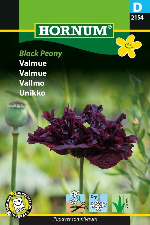 Pionvallmo 'Black Peony' - Fröer