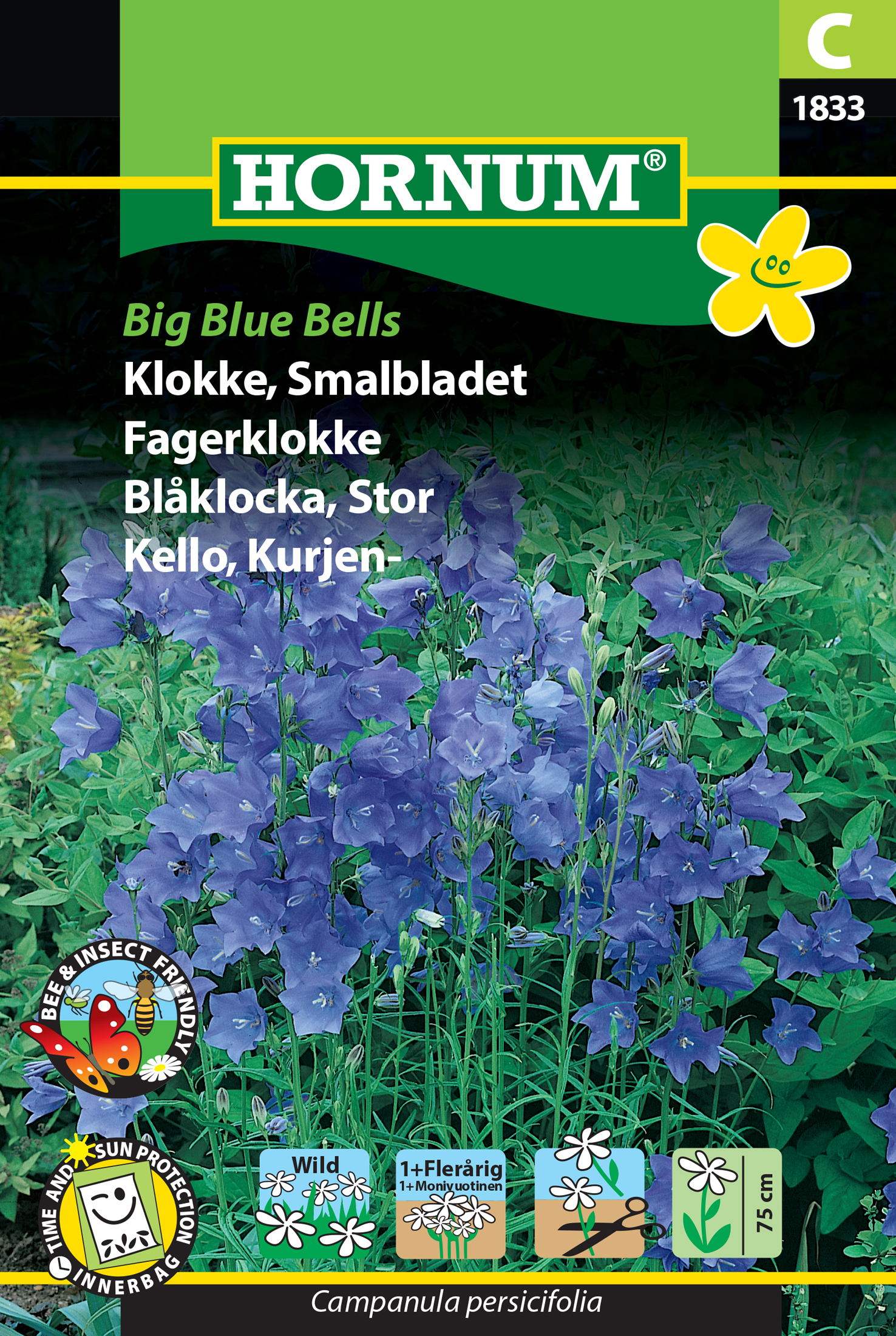 Blåklocka 'Big Blue Bells' frö - Fröer