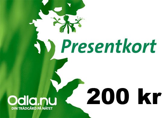 Presentkort 200 - Fröer