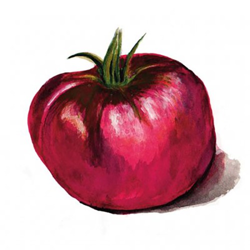 Bifftomat 'Cherokee Purple' Svenskodlat frö - Fröer