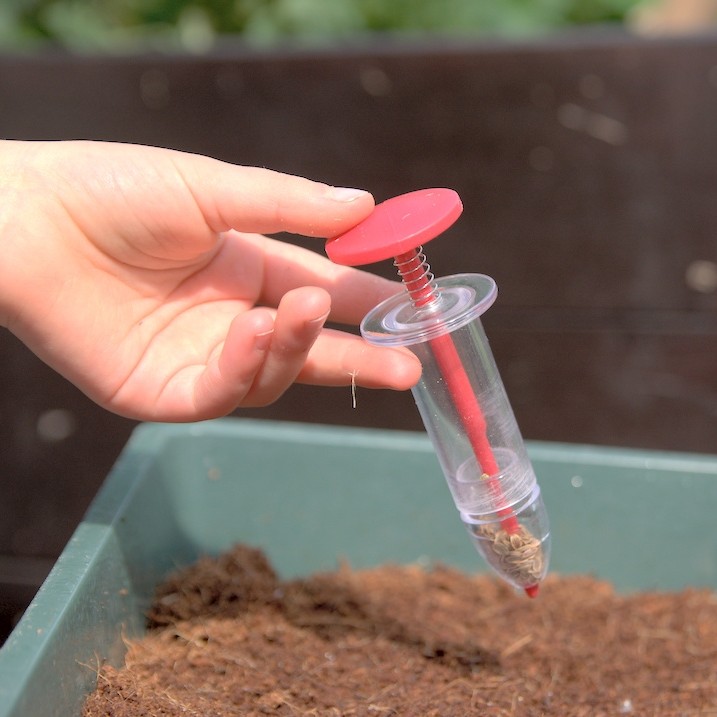 Sådosa Professional Röd - Fröer