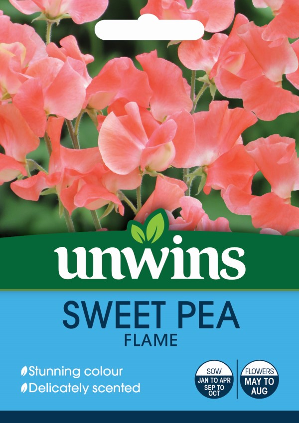 Luktärt 'Flame' - Fröer