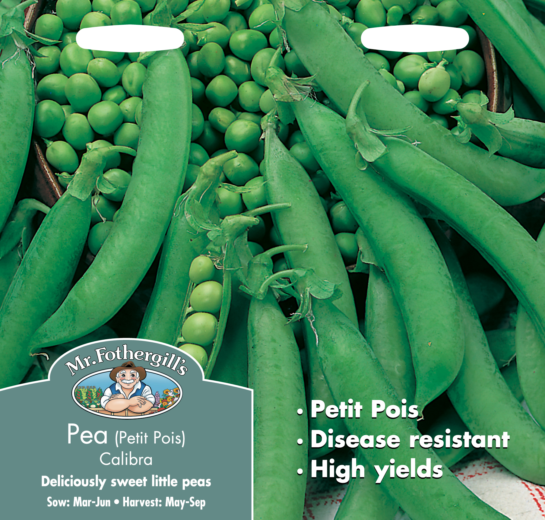 Märgärt  'Onward' - Fröer