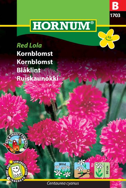 Blåklint 'Red Lola' frö - Fröer