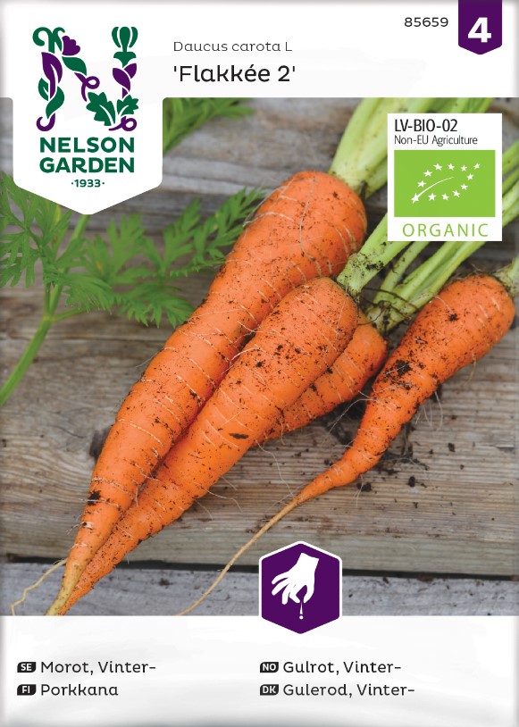 Vintermorot 'Flakkée 2' Organic - Fröer