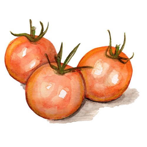 Körsbärstomat 'Goldiana' Svenskodlat frö - Fröer