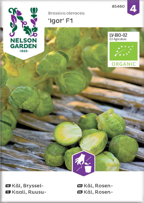 Brysselkål 'Igor F1' Organic frö - Fröer