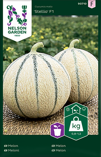 Melon 'Stellio F1' frö - Fröer