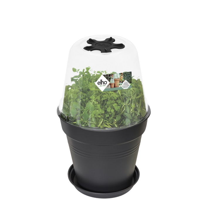 Green Basics Grow House Round 17cm - Fröer