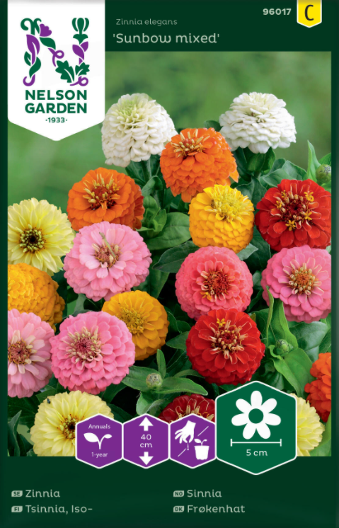 Zinnia 'Sunbow' Mix frö - Fröer