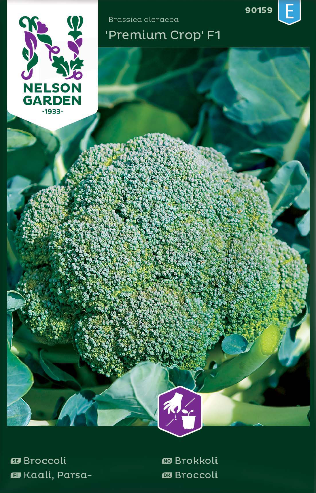 Broccoli 'Premium Atlantis F1' - Fröer