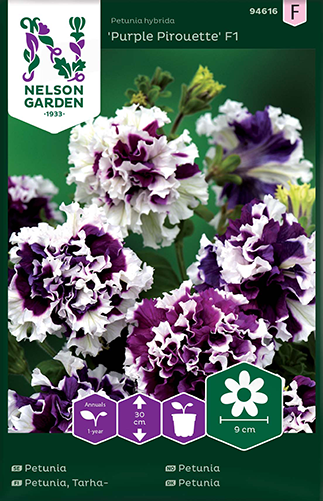 Petunia 'Purple Pirouette' F1 frö - Fröer