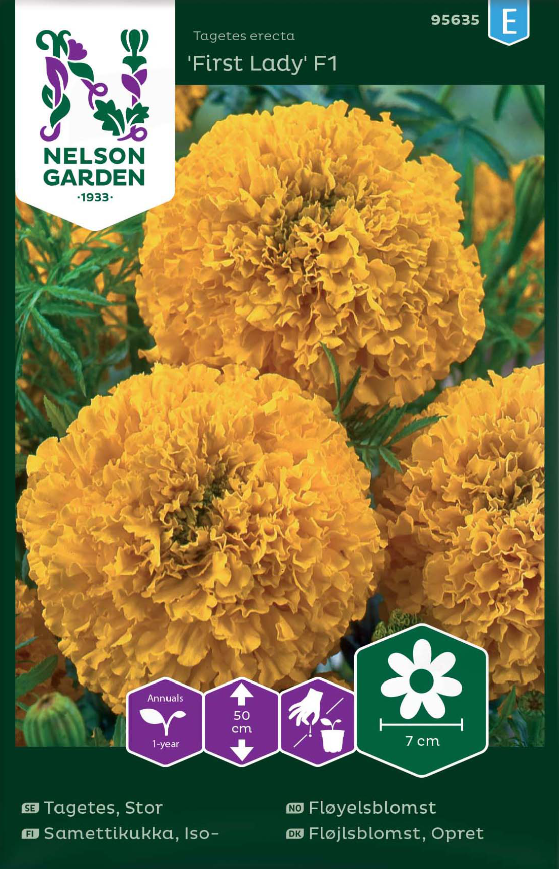 Tagetes 'First Lady' F1 - Fröer