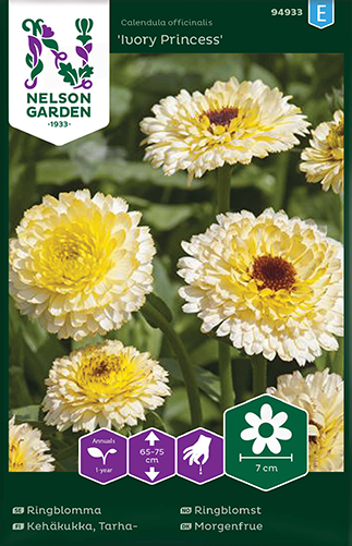 Ringblomma 'Ivory Princess' frö - Fröer