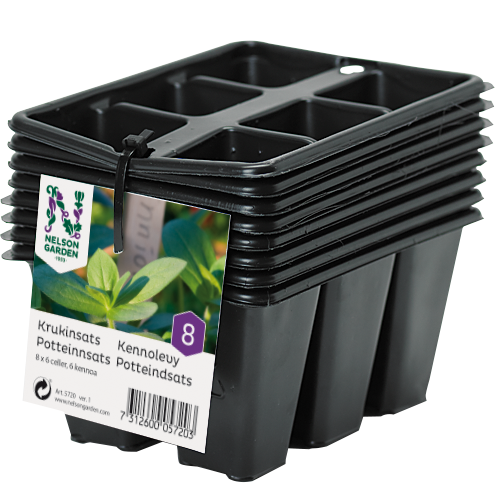 Krukinsats med 6st celler - 8st - Fröer