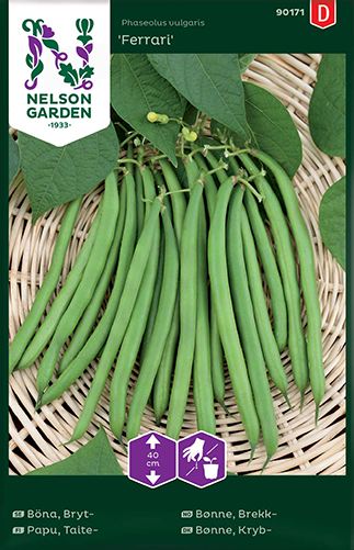 Brytböna 'Ferrari' - Fröer