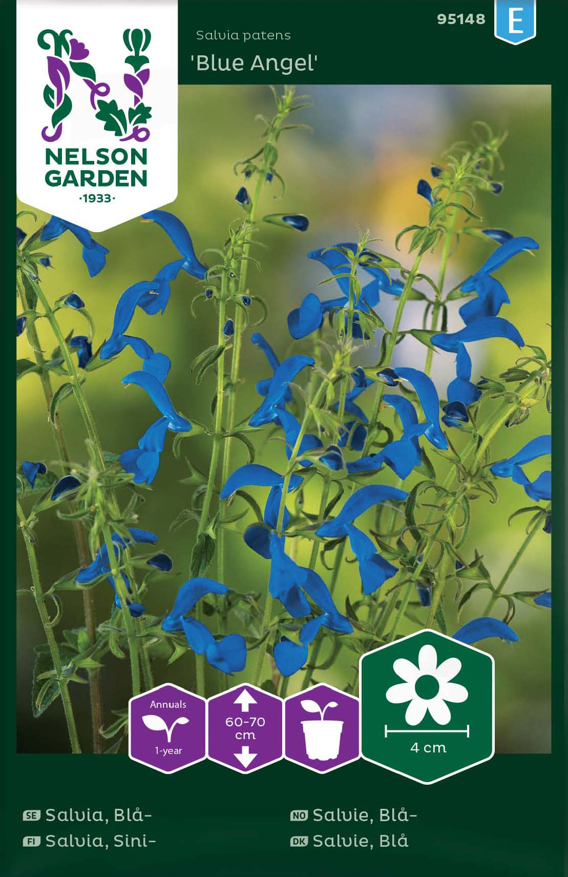 Salvia 'Blue Angel' frö - Fröer