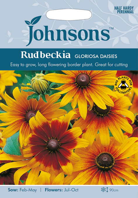 Sommarrudbeckia 'Gloriosa Daisies', frö - Fröer