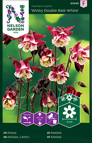 Akleja 'Winky Double Red-White' frö - Fröer