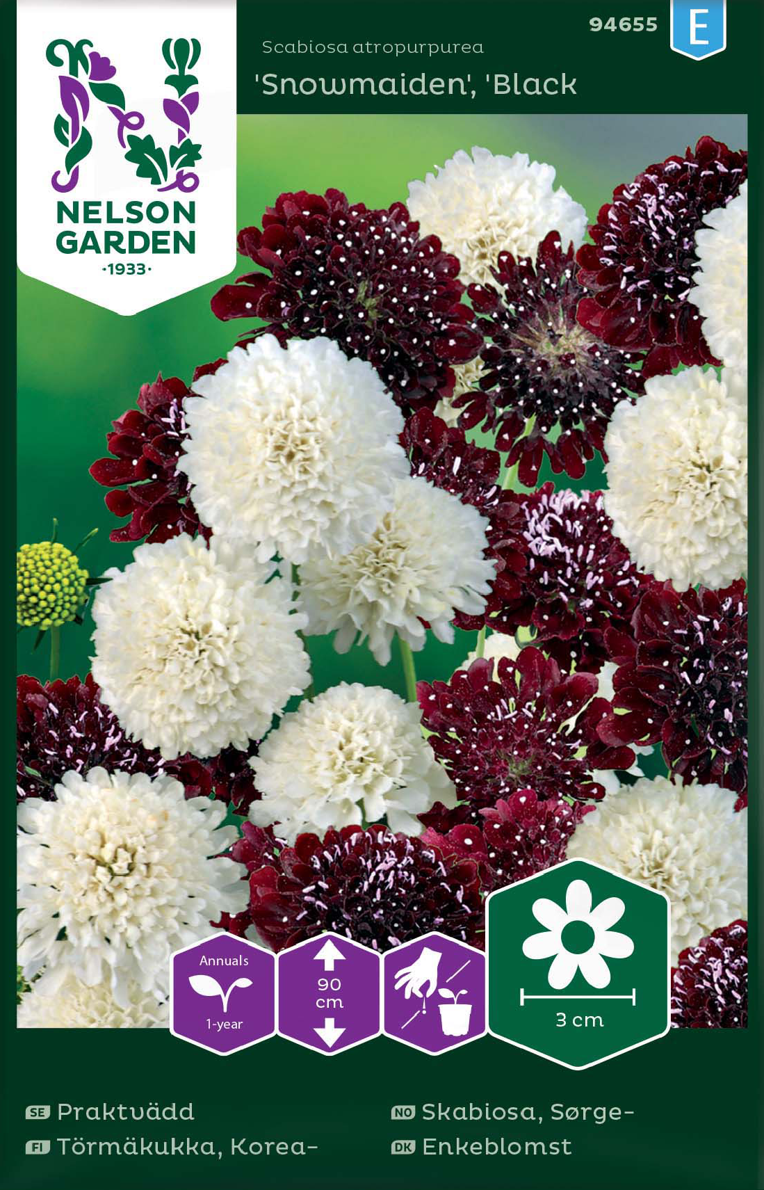 Praktvädd 'Snowmaiden / 'Black Knight' - Fröer