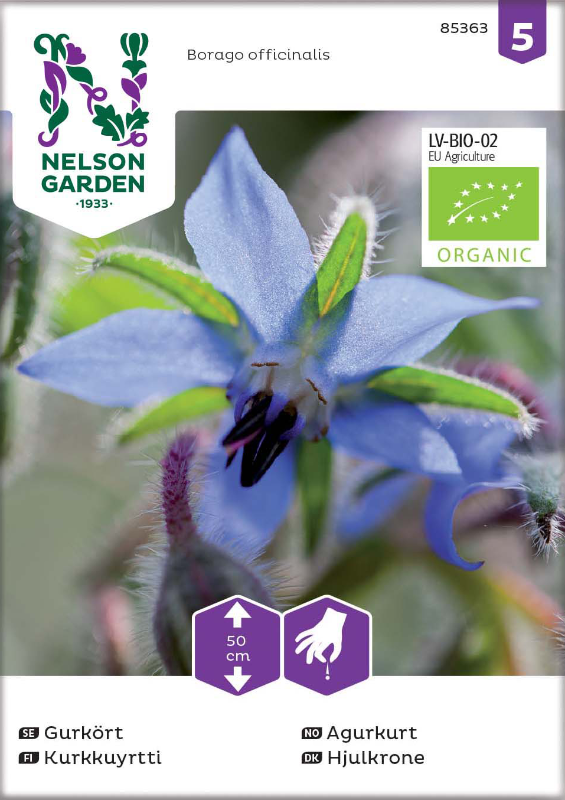 Gurkört Organic frö - Fröer