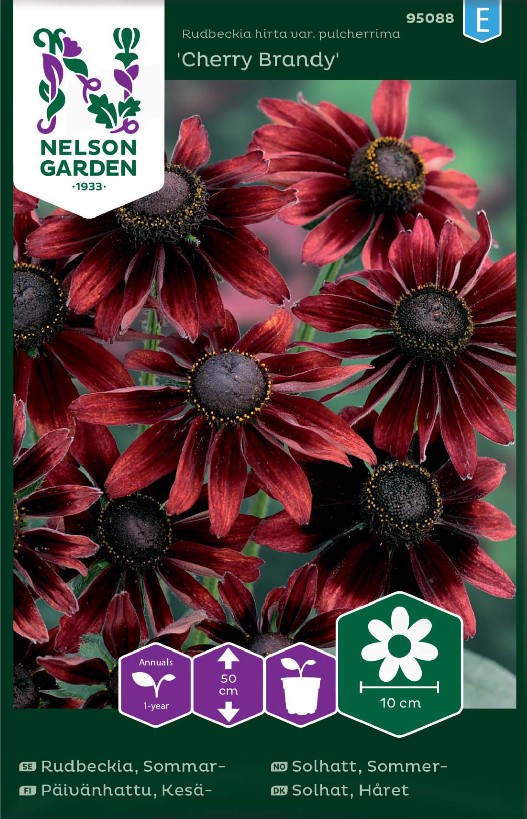 Sommarrudbeckia 'Cherry Brandy' frö - Fröer