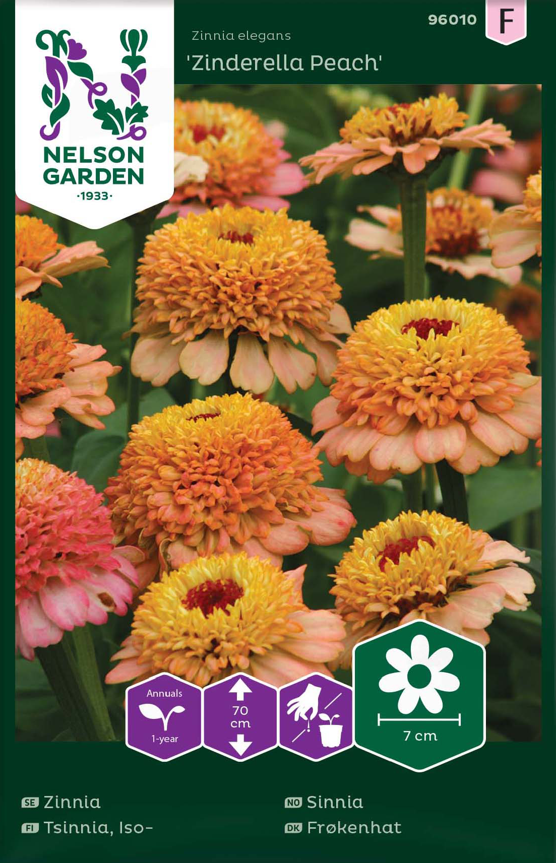 Zinnia 'Zinderella Peach' frö - Fröer