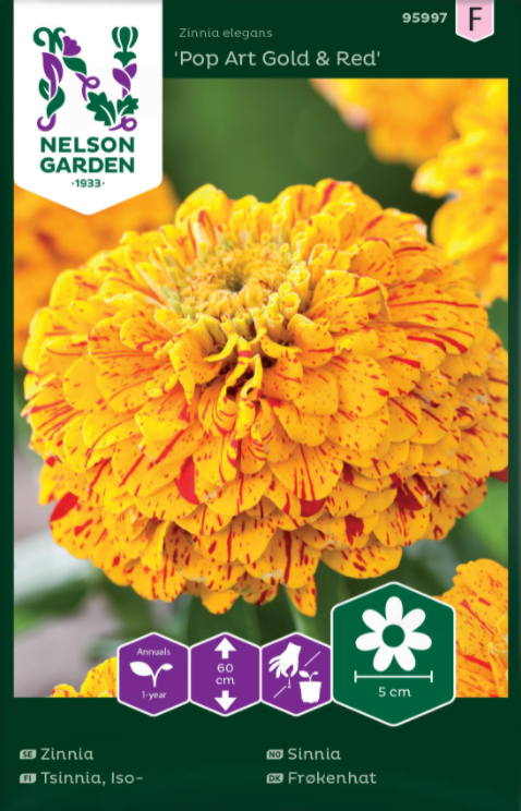 Zinnia 'Pop Art Gold & Red' frö - Fröer